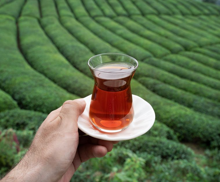 A glass of Turkish tea in a Black Sea tea plantation — Kackar Tour DMC